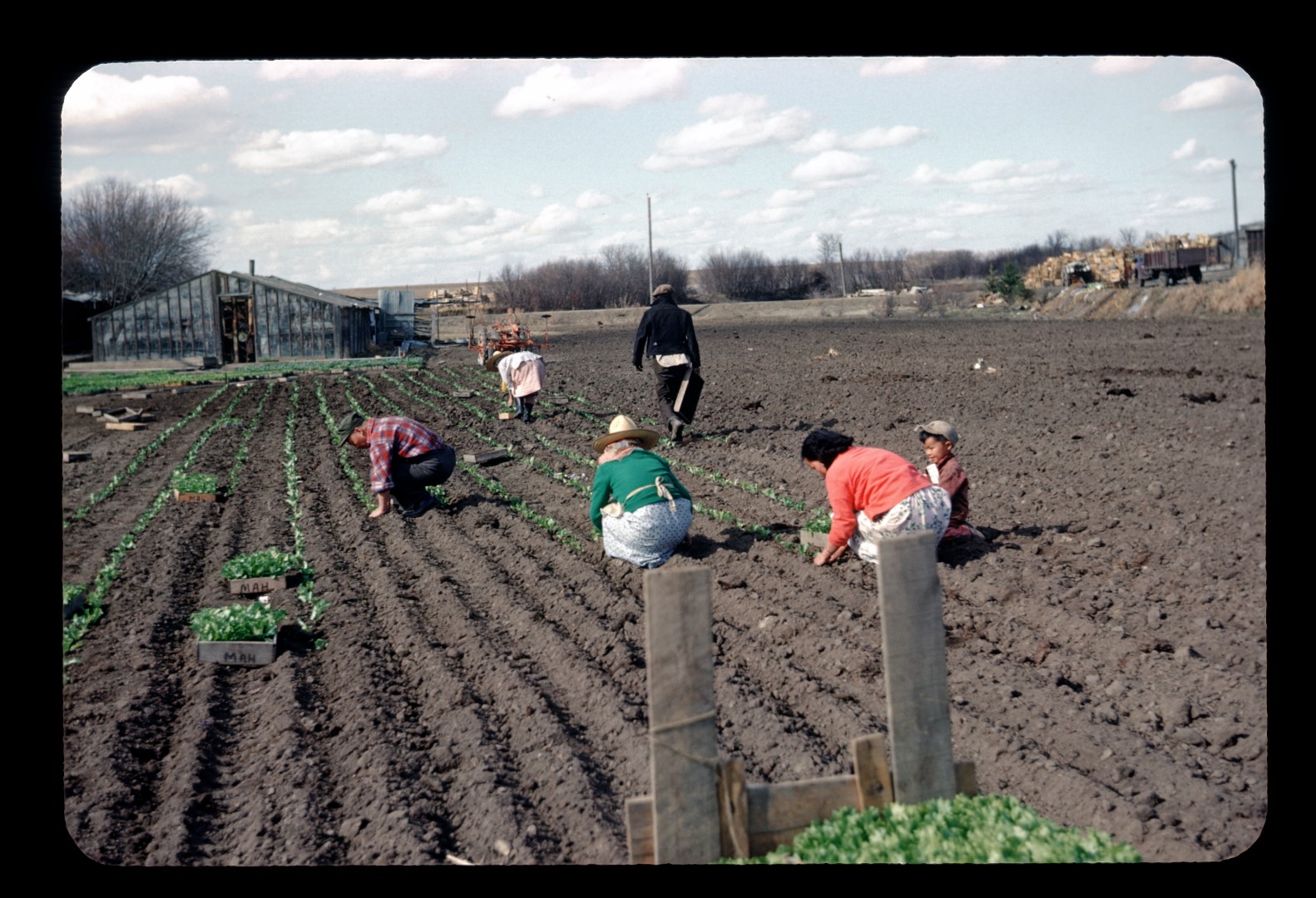 Floral Acres Saskatoon Greenhouse and Garden Centre
